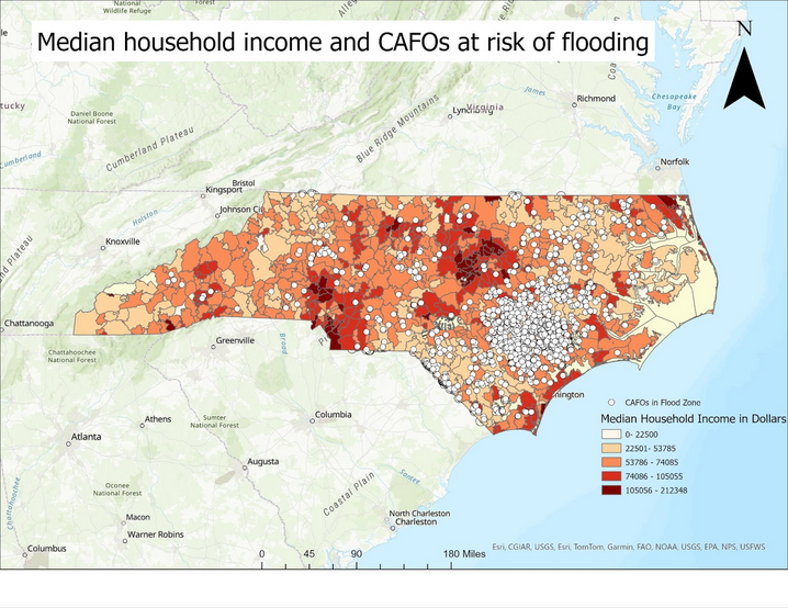 Median household income and CAFOs at risk of flooding